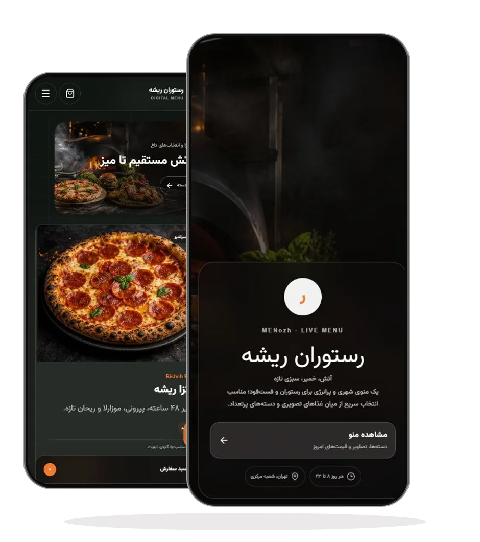 دو نمای واقعی از قالب ریشه