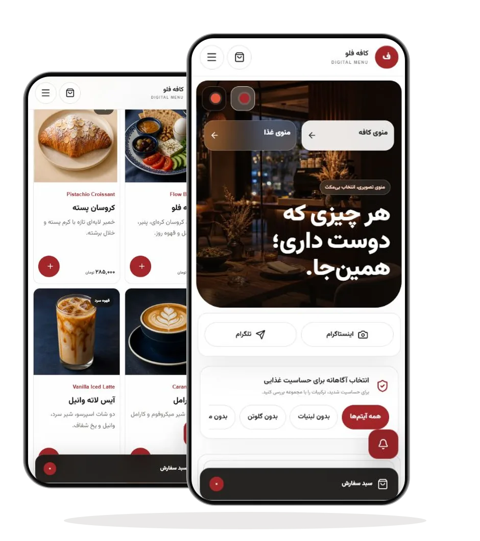 دو نمای واقعی از قالب فلو